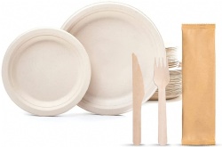 Disposable plates